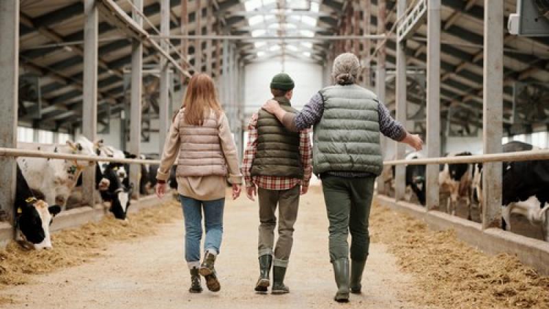 Edition numérique des abonnés