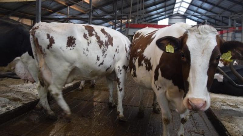 Edition numérique des abonnés