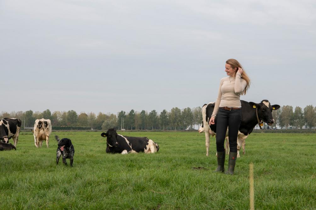 Edition numérique des abonnés