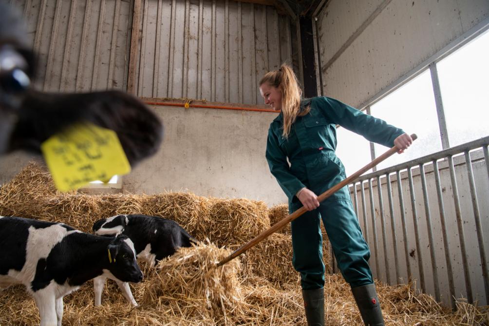 Edition numérique des abonnés