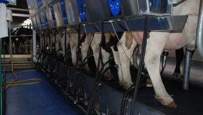 Edition numérique des abonnés