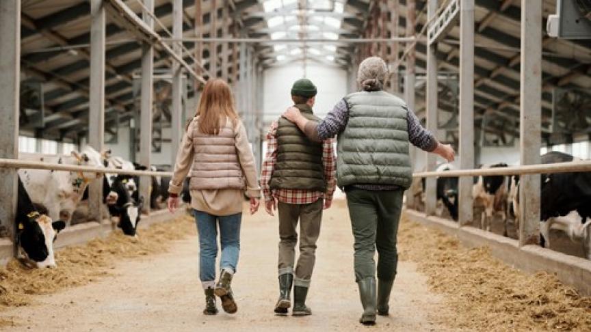 Edition numérique des abonnés