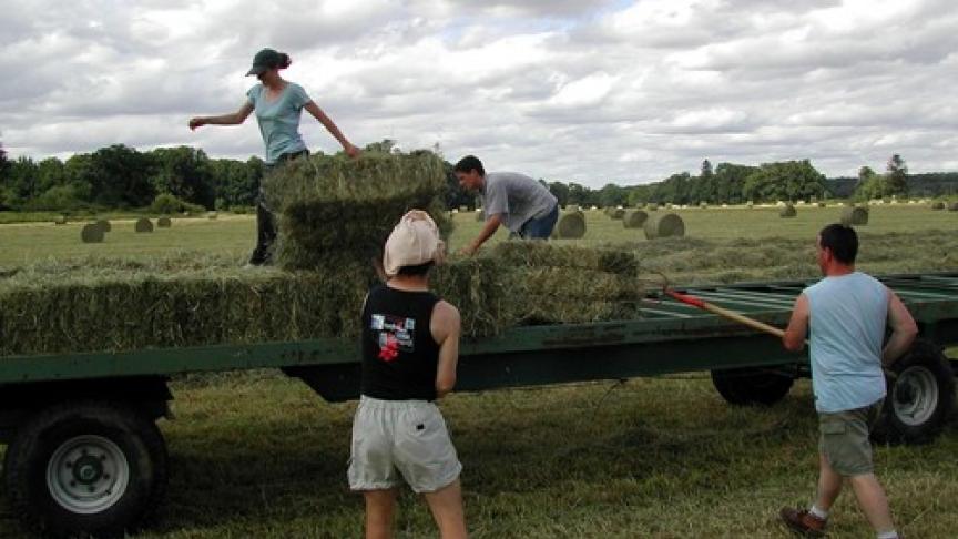 Edition numérique des abonnés