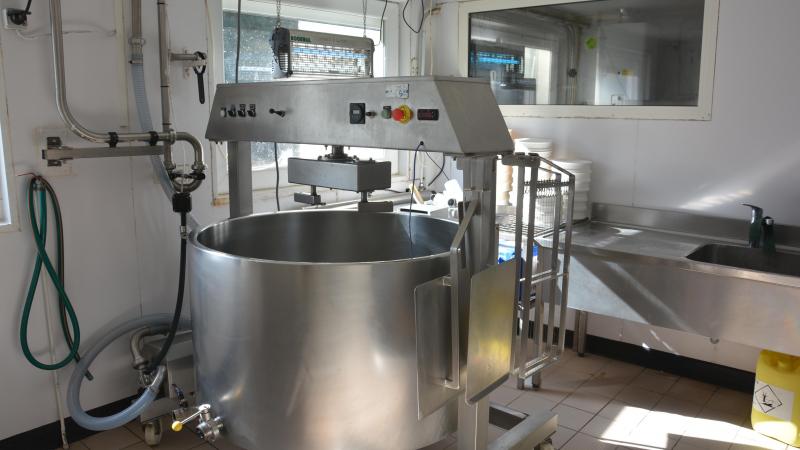 Saint-Nectaire: melken en meteen kaas produceren