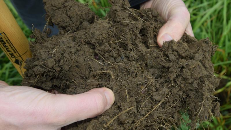 Bodemschimmels kunnen goed omgaan met stresssituaties als klimaatverandering, de hedendaagse landbouw of bodemvervuiling.