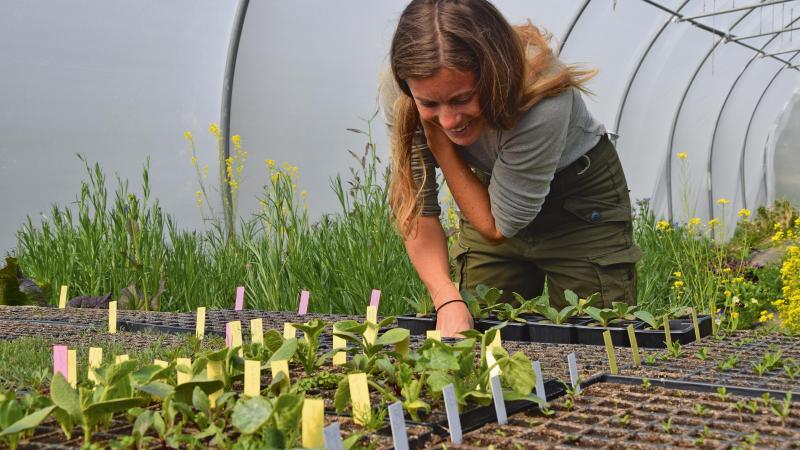 Mijn productie respecteert de seizoenen. Mijn serres worden niet verwarmd en de planten komen tevoorschijn wanneer hun tijd gekomen is, legt Marguerite uit.