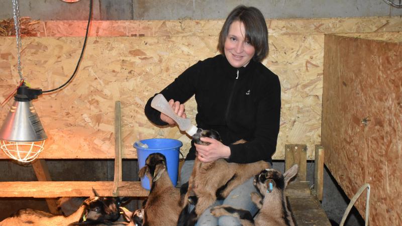 Anne Delbeke heeft een kudde van 80 geiten. Ze produceren ongeveer 240 l melk per dag, die Anne volledig zelf verwerkt.