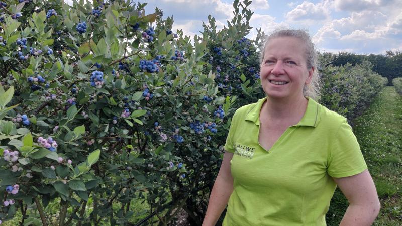 Eigenares Ruth Schrijnwerkers: “Niets lekkerder dan een bes recht van de struiken.”