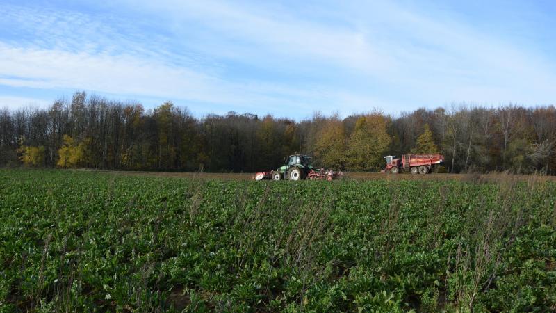 De maximale pachtprijs die de verpachter kan eisen, wordt berekend volgens de formule: niet-geïndexeerd kadastraal inkomen van het pachtgoed x de pachtprijscoëfficiënt van de betrokken landbouwstreek. Foto: TD