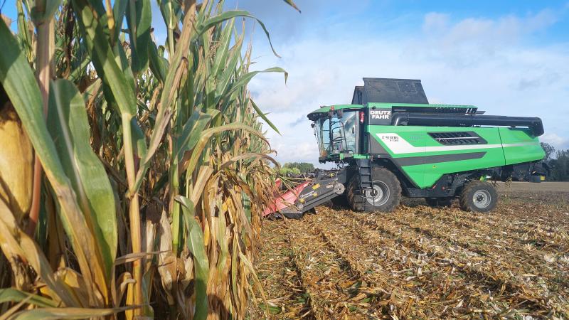 In de meerjarige rasresultaten korrelmaïs zijn er voor een aantal rassen van jaar tot jaar door grote schommelingen door de specifieke weersomstandigheden.