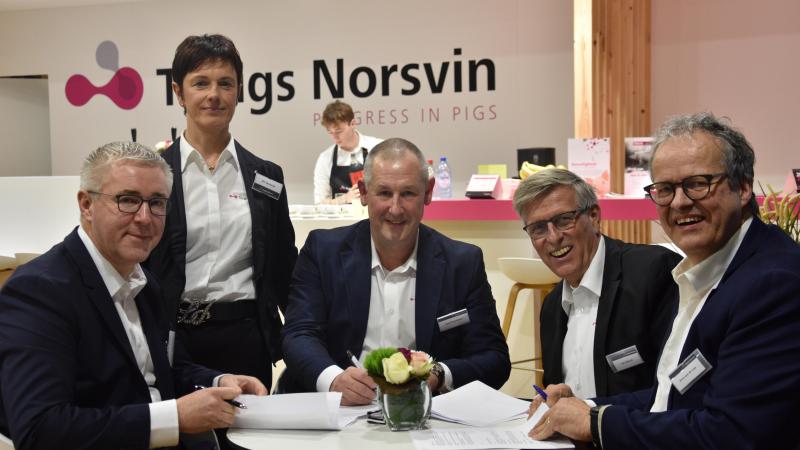 Fokbedrijf Maenhout en Topigs Norsvin gaan een strategisch partnerschap aan ter verbetering van de varkensfokkerij. De ondertekening voor deze samenwerking gebeurde tijdens Agriflanders.