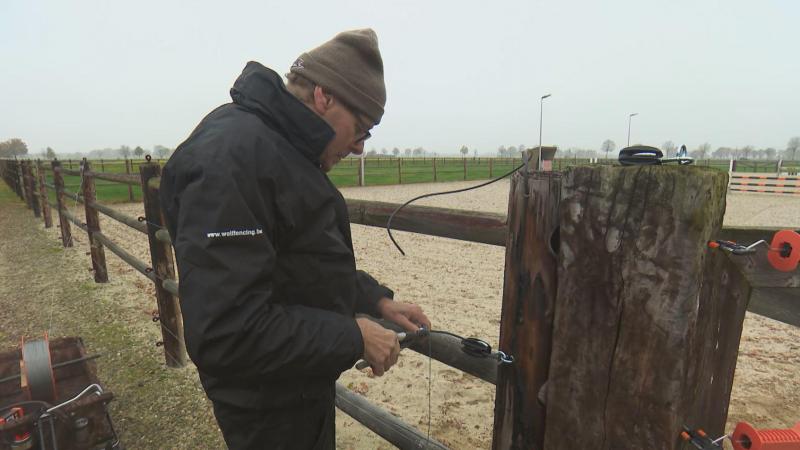 In de reportage gaat PlattelandsTV voor dag en dauw op pad met enkele experts van het Wolf Fencing Team.