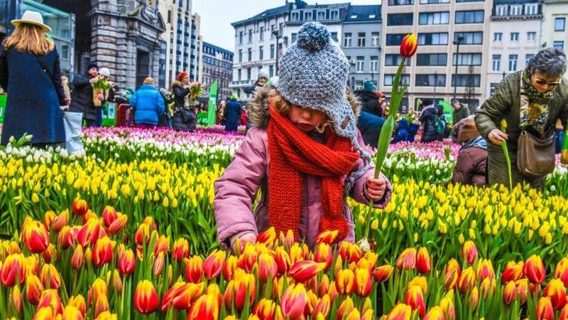 Op het Koningin Astridplein in Antwerpen werd zaterdag 21 januari het nieuwe bloeiseizoen feestelijk ingezet.