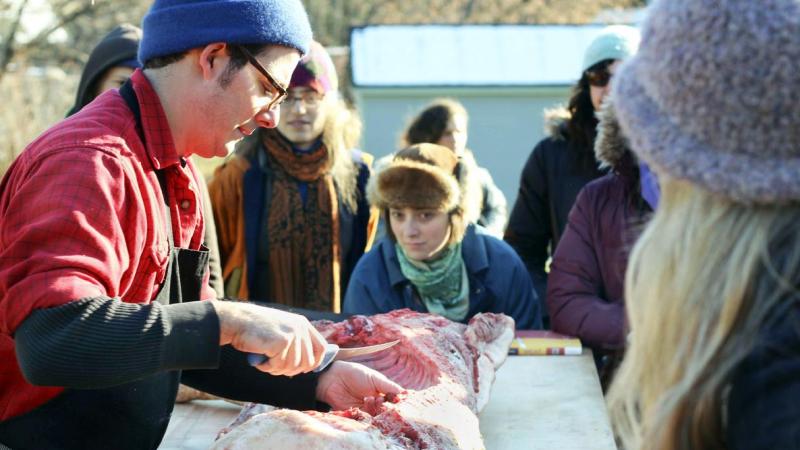 Boerenforum verkiest thuisslachtingen met vakmensen aan de zijde van de dieren in plaats van grootschalige slachthuizen.