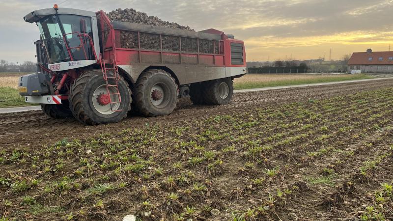 Bieten uitrijden op 1 februari: was het een gok of was het het noodlot? Het staat vast dat dit zich in de toekomst niet meer mag herhalen.