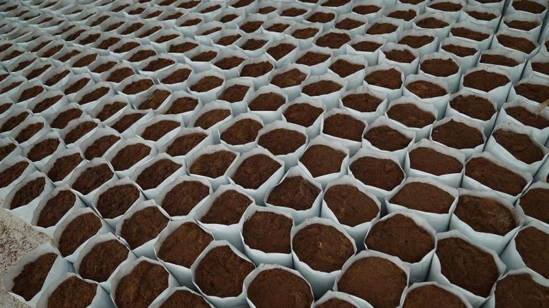 Er zijn zowel nieuwe retributies als herzieningen op de bestaande retributies met betrekking tot plantmateriaal.