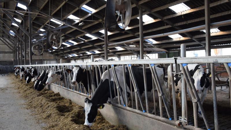 Watertechnieken worden pas ingezet bij ergere hittestress, naast de reeds aanwezige  ventilatoren.
