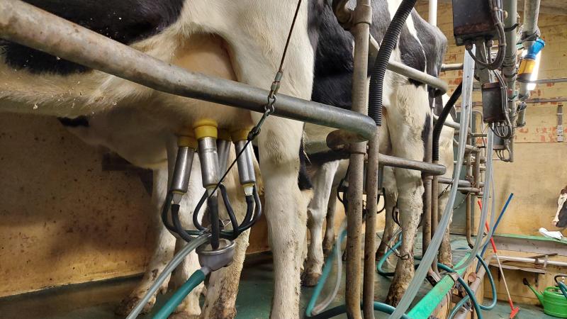 België had in 2022 groene aanvoercijfers, namelijk plus 2,6% tegenover 2021.