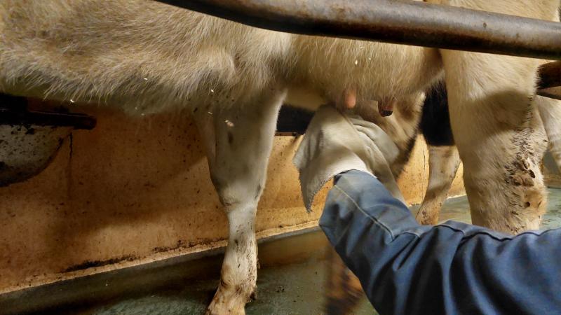 De positie van de producenten op de markt moet actief worden versterkt.
