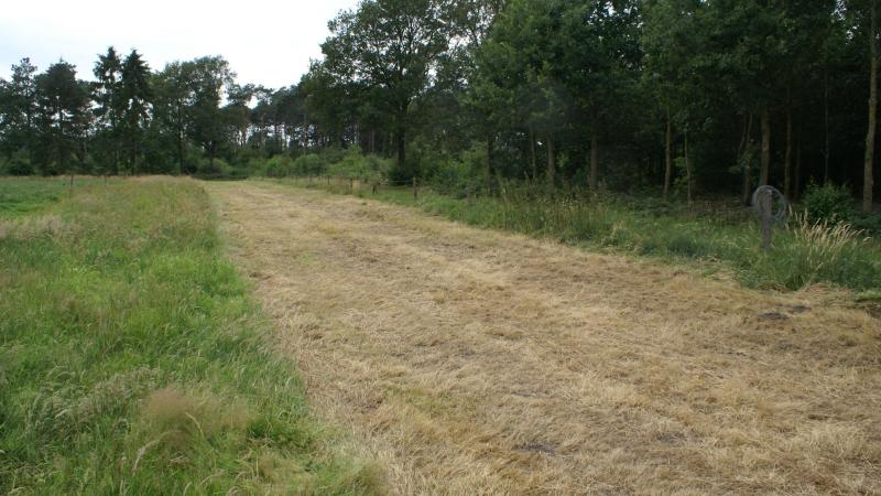 In artikel 10 van het voorstel van Vlaams Pachtdecreet worden 2 nieuwe bijkomende opzeggingsmogelijkheden opgenomen voor bebossing of natuurrealisatie