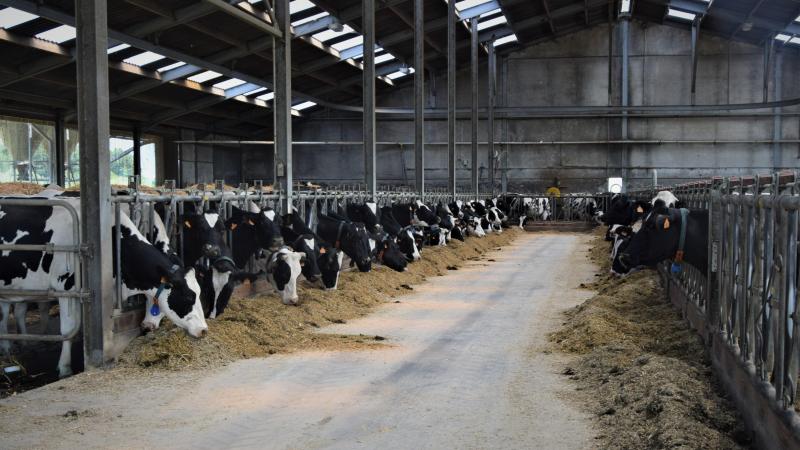 Landbouw en veeteelt zijn niet de enige bron van ammoniak-emissie en produceren veel minder NH3-depositie dan uit de VMM-berekeningen zou moeten blijken.