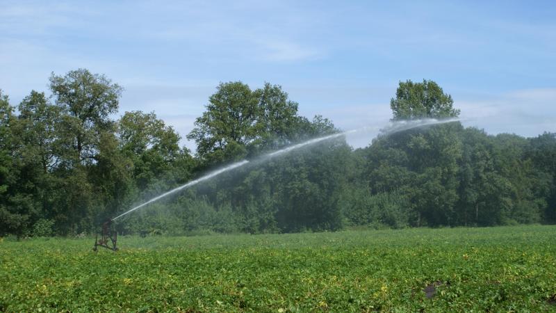 De beregeningstool geeft de landbouwer inzicht en advies over de kostprijs van beregenen en de waterbehoefte van de teelten.