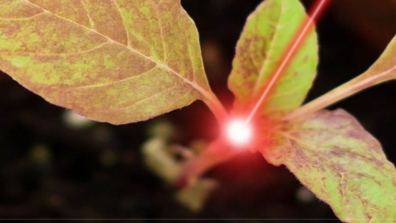 Voor het project ‘WeLASER’ werd een enquête opgesteld.