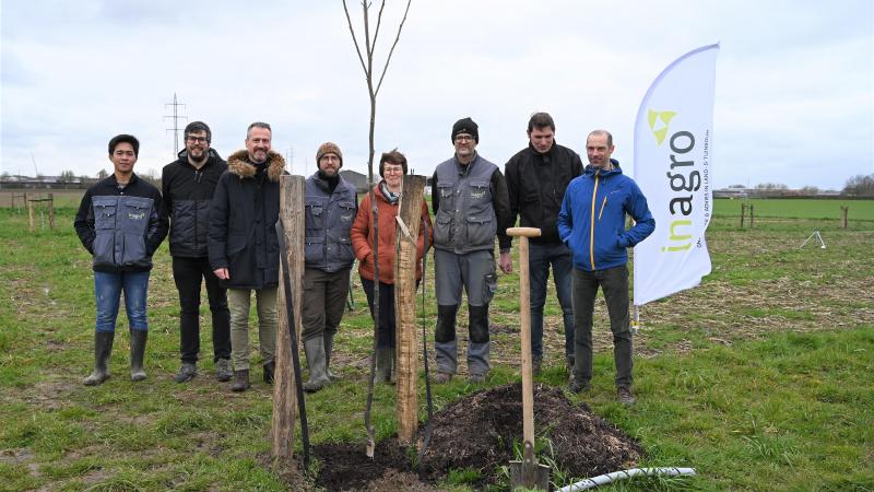 Op 20 maart werd de laatste notelaar aangeplant op Inagro