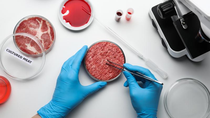 “Als de biefstuk van de witblauwproducent uit Sint-Truiden vervangen wordt door een lapje kweekvlees van een Amerikaanse multinational, dan zul je in mij geen voorstander vinden”, zegt minister Brouns.