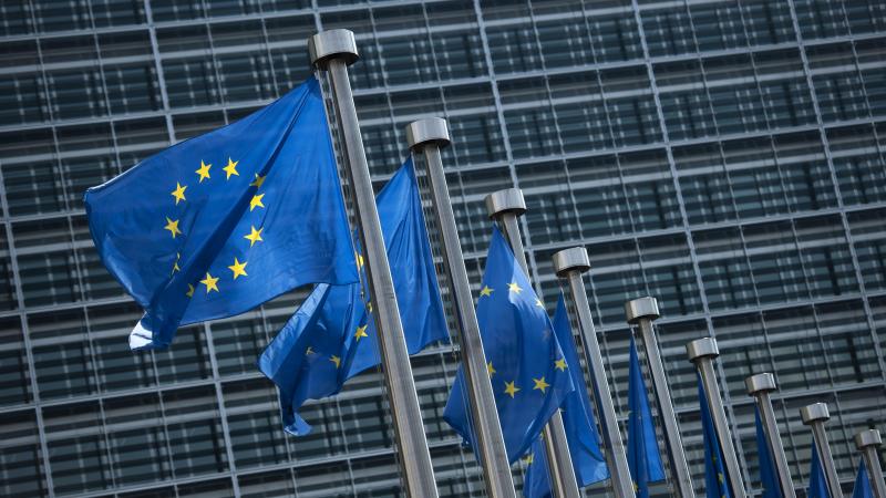 In het Europees Parlement werd op 10 mei gedebatteerd over de natuurherstelwet.