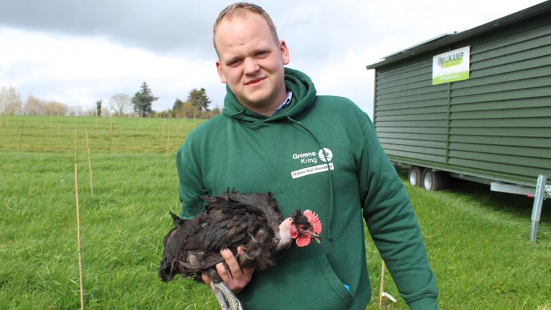 De combinatie van vleeskippen en een hazelnootplantage, zoals jonge boer Len Van den Berge het doet, is logischer dan je op het eerste zicht zou denken.