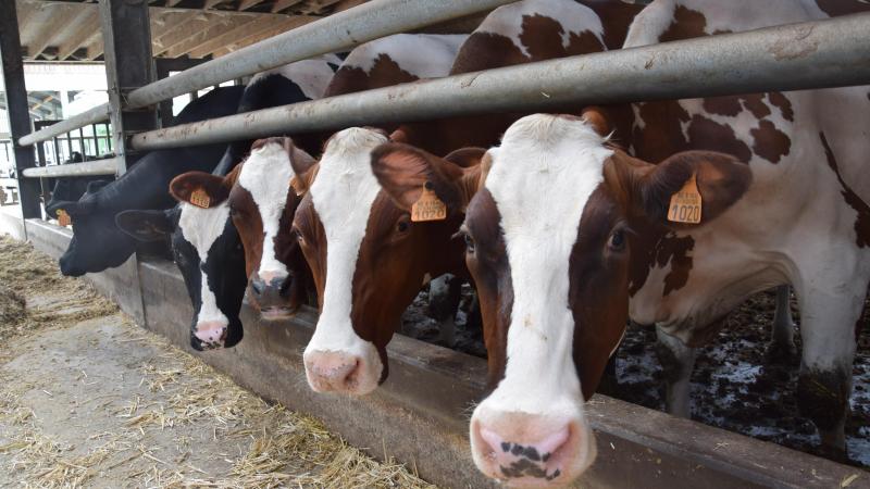 Erwerd in de Vlaamse regeringafgesproken dat het Convenant Enterische Emissie Rundvee, met daarin de geplande reductie van broeikasgassen, wordt bijgestuurd.