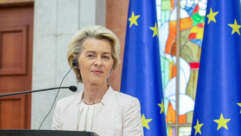Commissievoorzitter Ursula Von der Leyen schetst in een brief aan de EU-lidstaten een pad met mogelijke bijsturingen die volgens haar kunnen besproken worden.