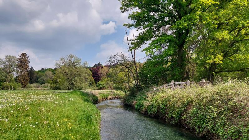 De voorraden ruw water van De Watergroep zijn nu de zomer voor de deur staat ‘goed’.