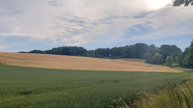 De projecten moeten bijdragen tot het ontwikkelen van leefbare, rendabele landbouwpraktijken die ook de natuur in het landbouwgebied ten goede komen.