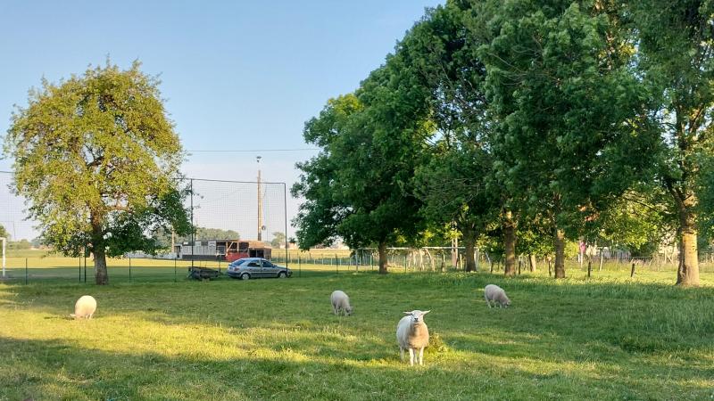 Vorig jaar werden er via het project afgerond 400 nieuwe bomen aangeplant bij West-Vlaamse landbouwers.