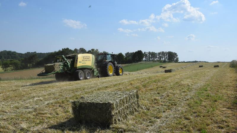 Het Departement Landbouw en Visserij start een participatief traject op om te komen tot een Landbouw Adaptatie-Actieprogramma 2030.