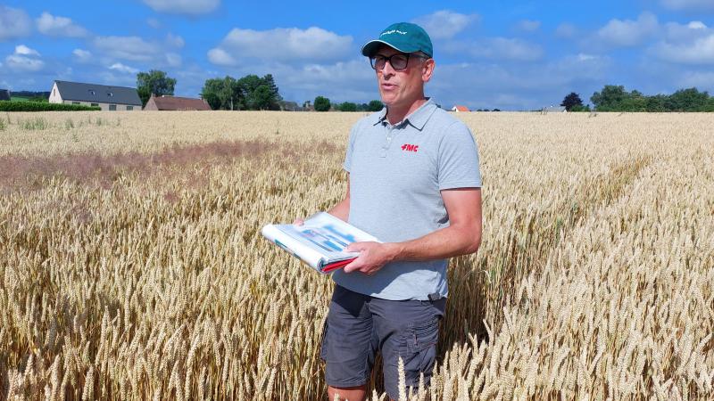 Het onbehandelde proefobject versus het behandelde proefobject achter Yves Decroos toont duidelijk dat FMC oplossingen heeft om resistente windhalm te bestrijden.