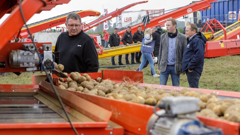 Op 6 en 7 september komt de hele aardappelketen weer aan bod in Kain.