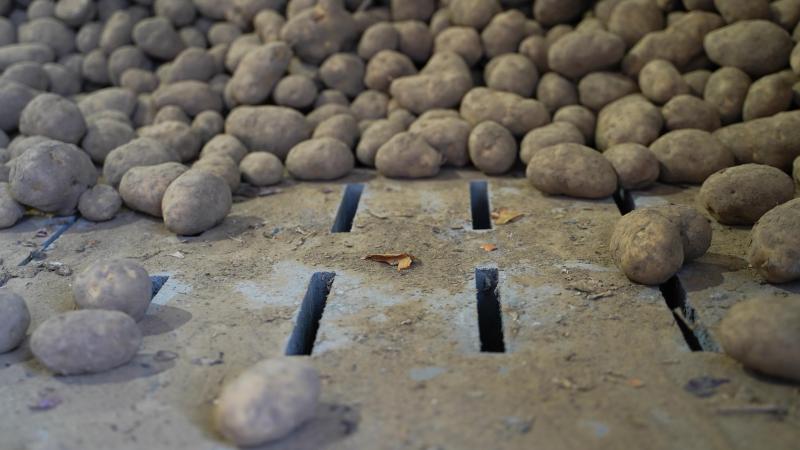 De marktstemming voor Fontane en Challenger is vast, met een aanbod dat kleiner is dan de vraag.