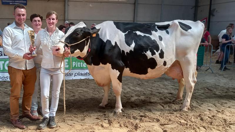 Frank en Mieke Scheemaeker-Gelaude met kampioene Mieke Van Het Zomerbloemhof.