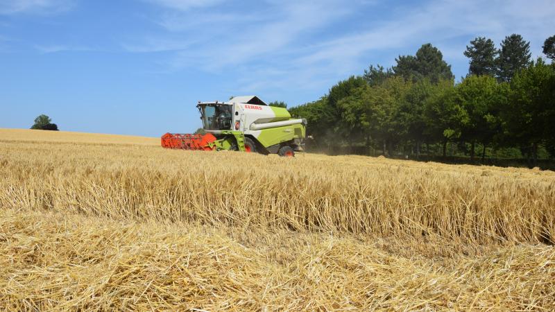 De gemiddelde wintergerstopbrengst over 4 proeflocaties bedraagt 10.986 kg/ha.