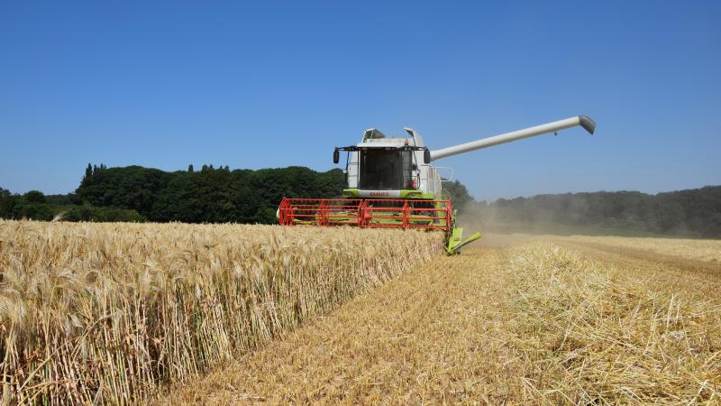 De Europese Commissie heeft een voorstel klaar om de invoertarieven voor graan, oliezaden en afgeleide producten uit Rusland en Wit-Rusland te verhogen.