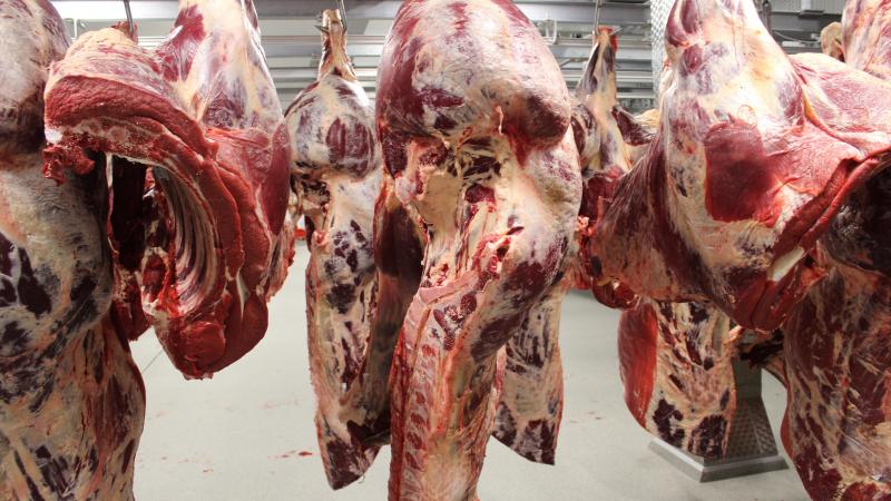 “Onze landbouwers respecteren strikte regels inzake dierlijke antibiotica en zijn benadeeld ten aanzien van producenten buiten Europa”, stelt federaal landbouwminister David Clarinval.