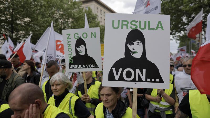 Poolse landbouwers in gele hesjes demonstreerden tegen de Green Deal.