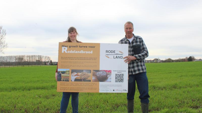Het idee voor het Rodelandbrood van Chris (rechts), Liesbet (links) en buurman Pascal kwam over van de polders, waar er een paar gelijkaardige projecten lopen.
