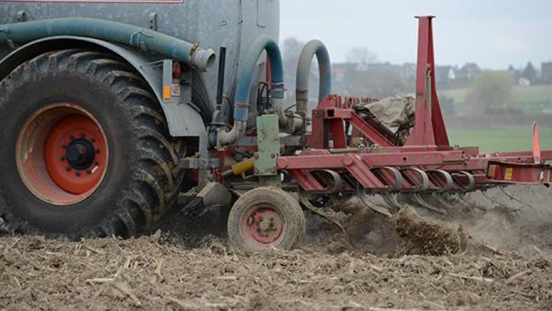 Drijfmest op niet-beteelde landbouwgrond moet onmiddellijk worden ingewerkt.