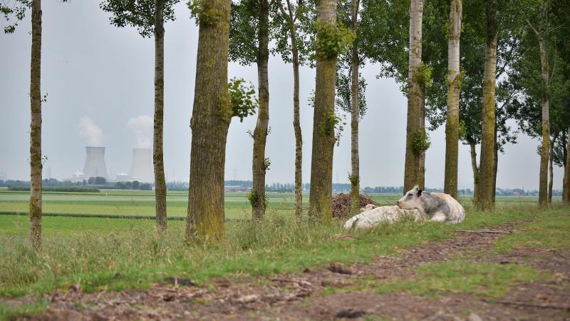 Een van de opvallendste evoluties in het rapport is dat steeds meer mensen naar het platteland verhuizen.