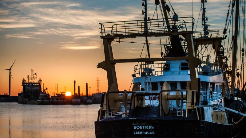 De visserij werd – net zoals andere sectoren – de voorbije jaren geconfronteerd door een opeenvolging aan crisissen: Brexit, Covid-19 en de energiecrisis.