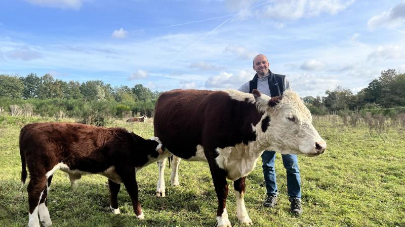 Boer Wiebe koos voor Hereford-runderen om in te zetten als  natuurbegrazers.